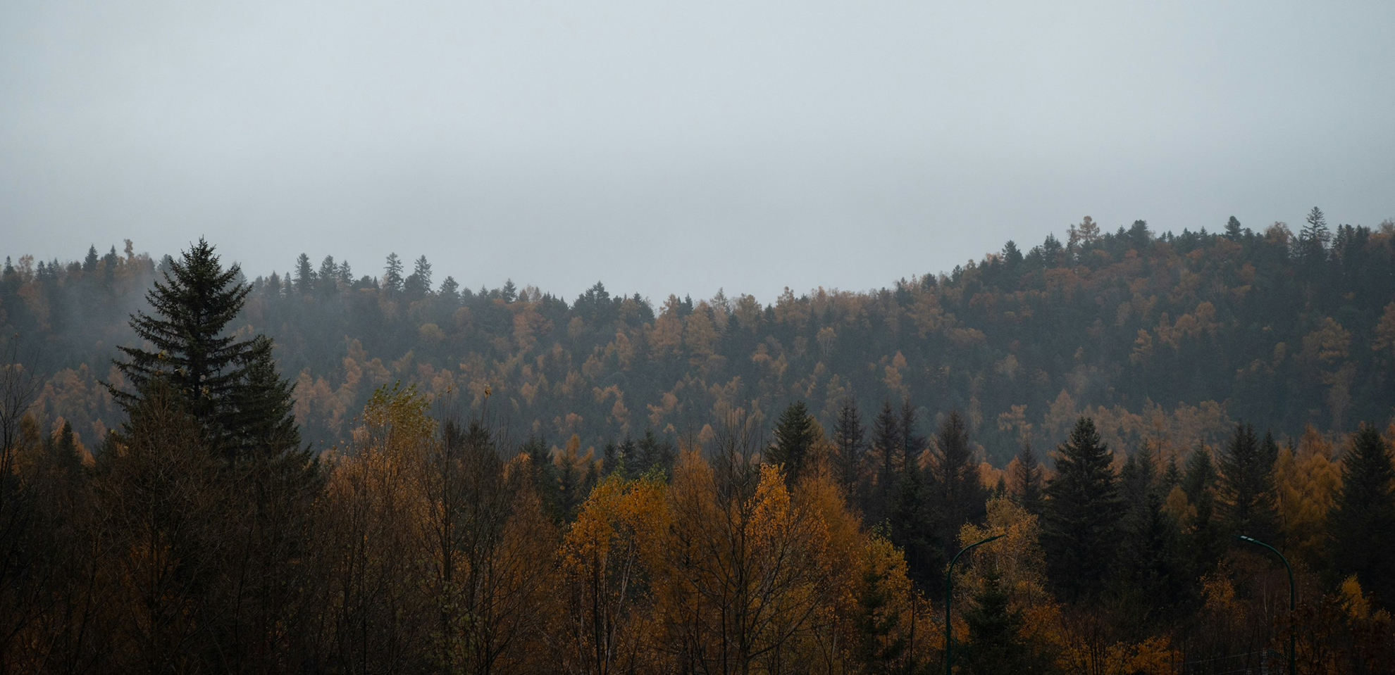 Webbplats Support och Hosting i Skellefteå