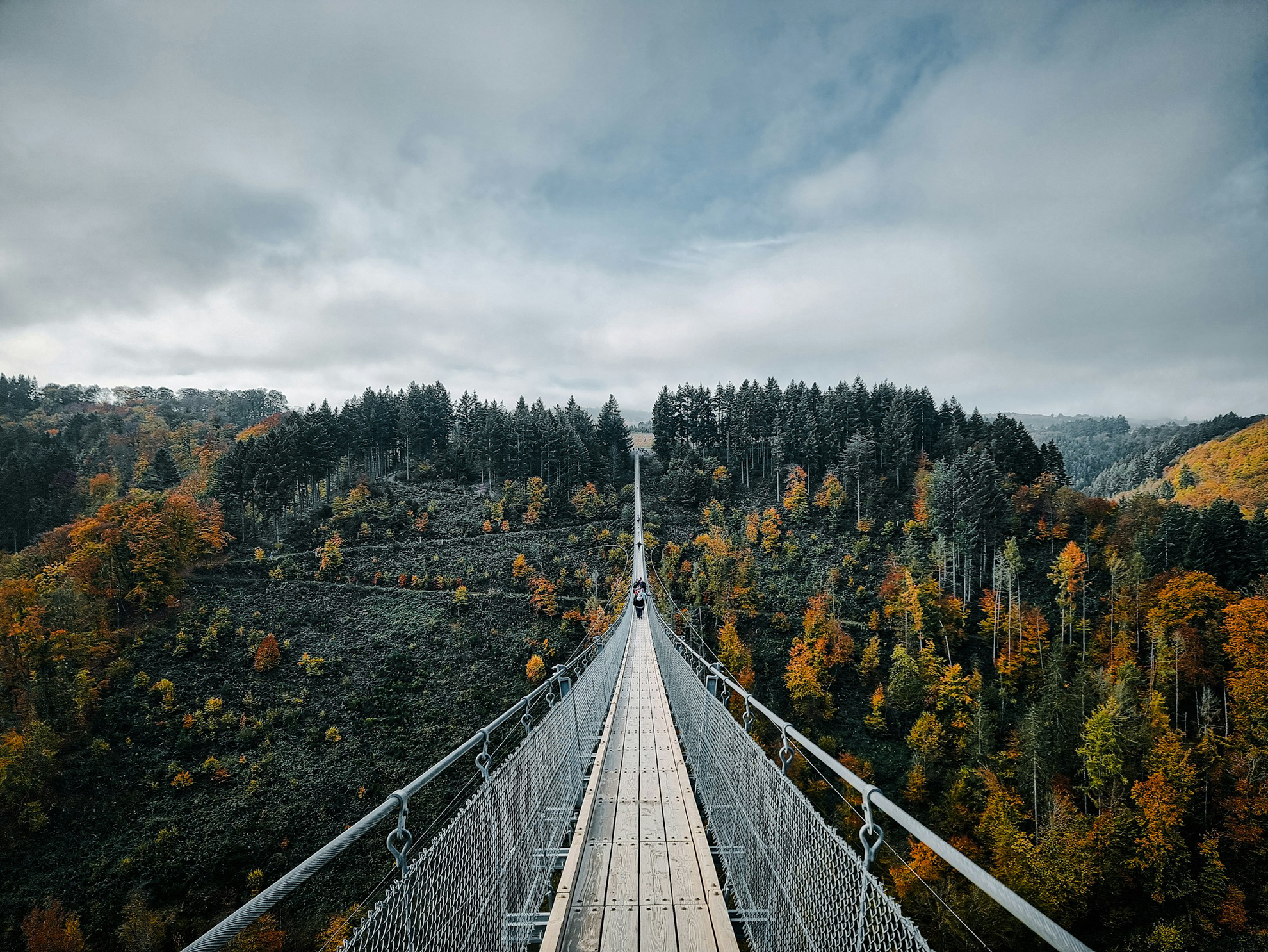 Modern webbdesign i Skellefteå – responsiva hemsidor i WordPress
